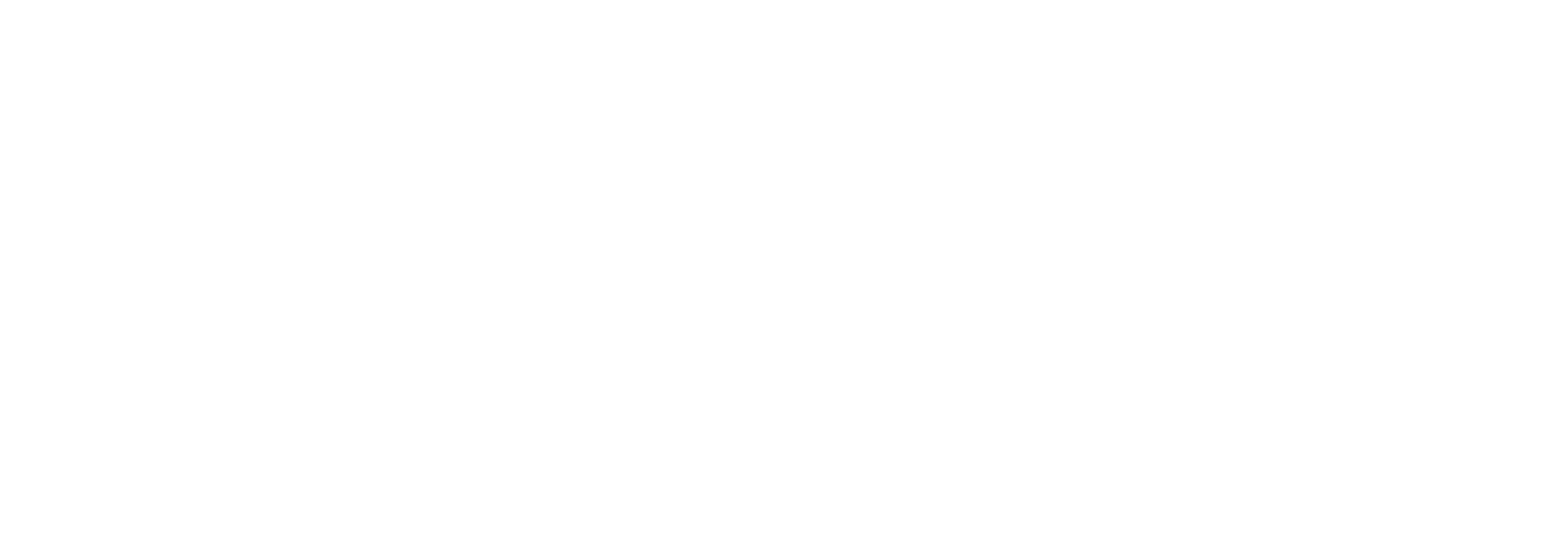 Dave Summit